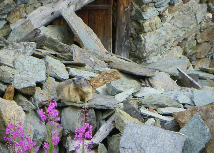 Stadel Soussun 3* Champoluc