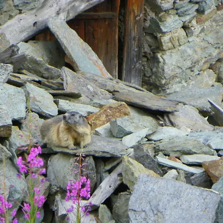 Stadel Soussun 3* Champoluc