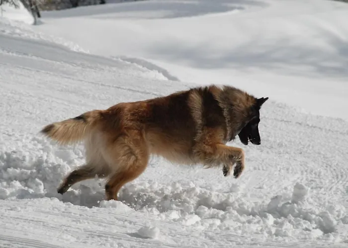 Stadel Soussun Hotel